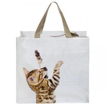 Boodschappentas kat en muis