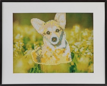 Diamond painting | Hond 40 x 50 CM